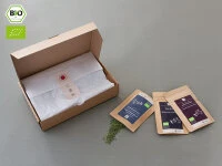 Grüner Tee Test-Set FLAVORS 9 Grüner Tee Test-Set FLAVORS – Bild 7