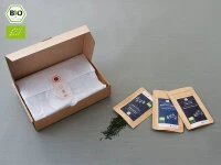 Grüner Tee Test-Set SUPER-PREMIUM 9 Grüner Tee Test-Set SUPER-PREMIUM – Bild 7