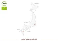 Schattentee Gyokuro Bio, Japan, 100 G 8 Schattentee Gyokuro Bio, Japan, 100 G – Bild 6